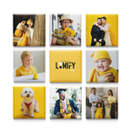 Loomify Custom Photo Magnets